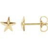 14 Karat Yellow Gold Starfish Stud Earrings