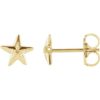 14 Karat Yellow Gold Starfish Stud Earrings
